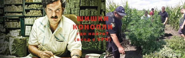 кокаин Ельня